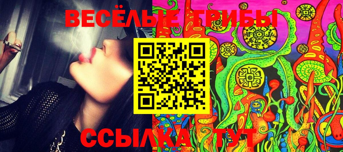 Псилоцибиновые грибы Psilocybe Брянск