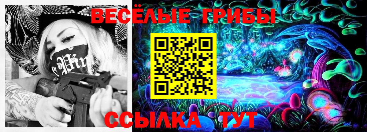 Псилоцибиновые грибы GOLDEN TEACHER  Вход с VPN  продажа наркотиков  Брянск 