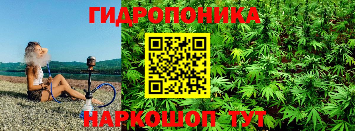 Брянск  Марихуана марихуана  Бошки Шишки ГИДРОПОН  Конопля Bruce Banner  Вход с VPN 
